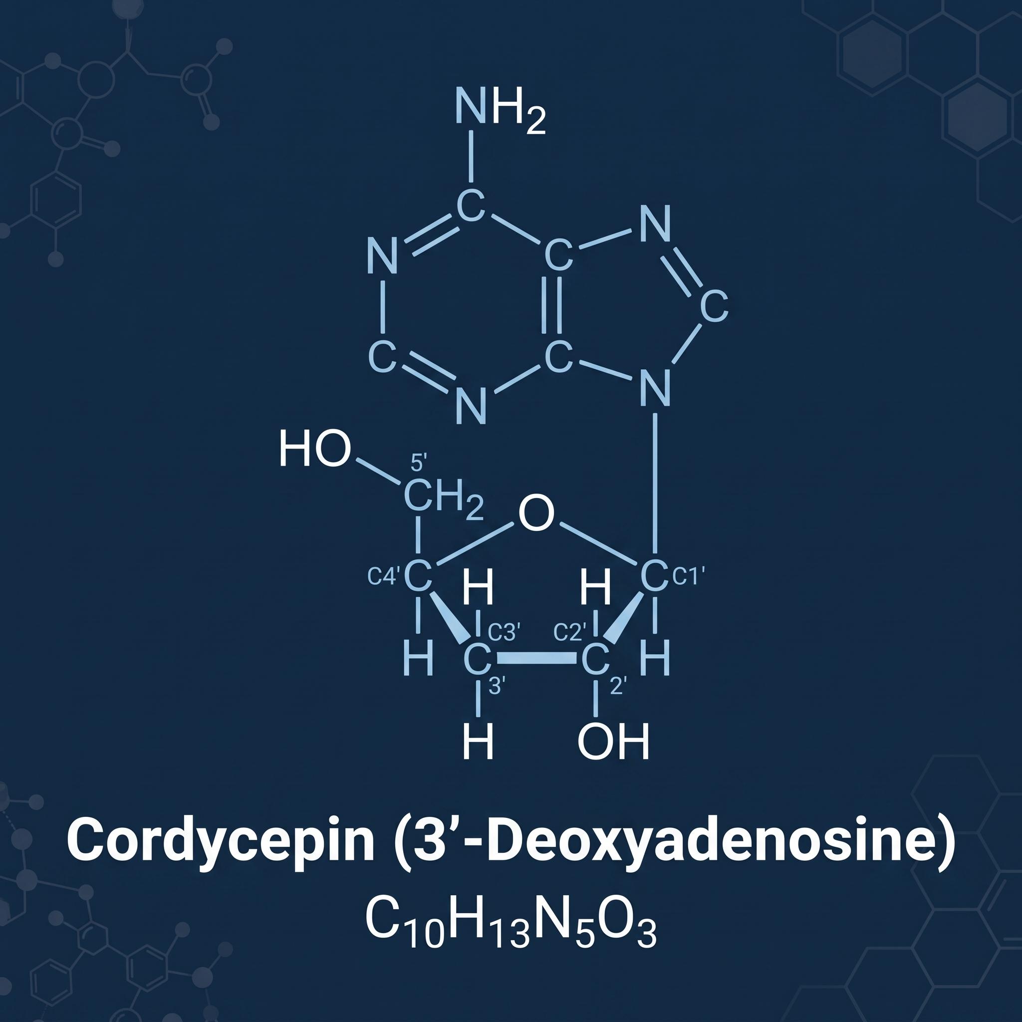 Cordycepin Molecule Diagram