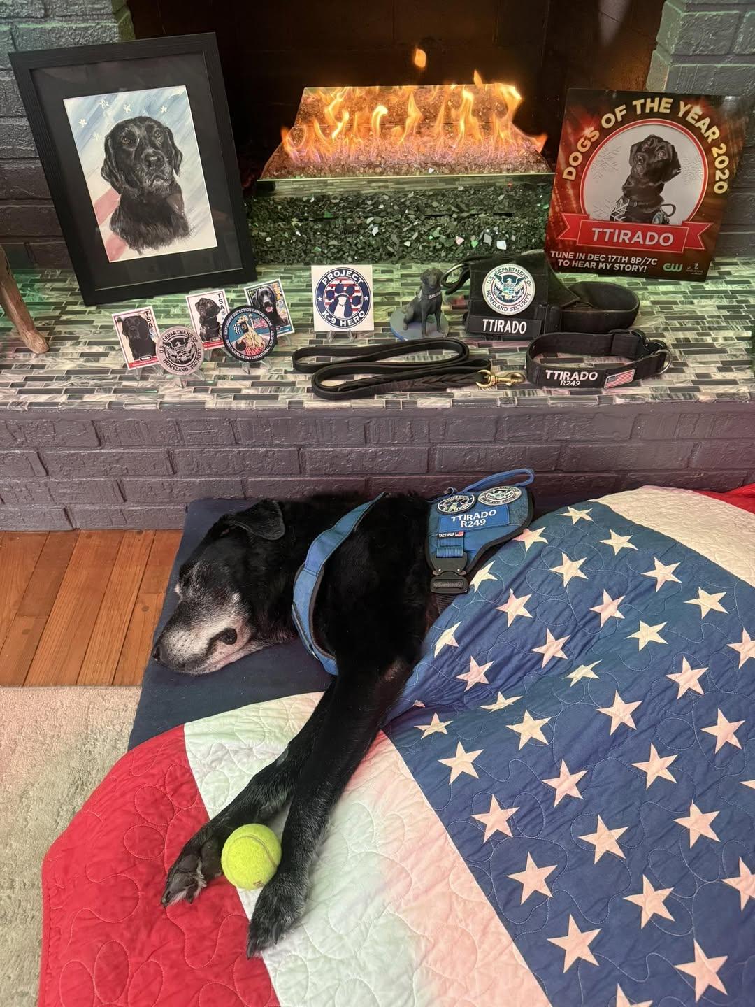 k9 ttirado with flag and his special items