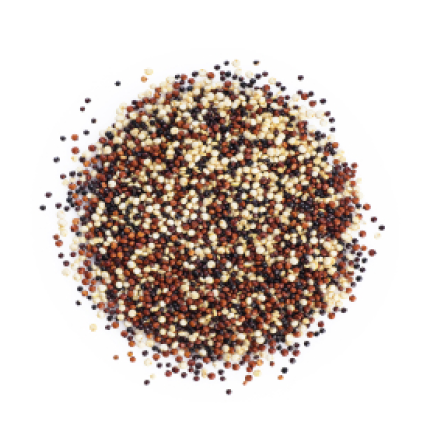 A handful of black, brown an d white grains. Amaranth, Quinoa & Sprouts Blend