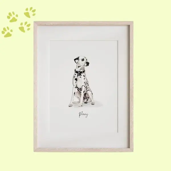 Custom Pet Portraits