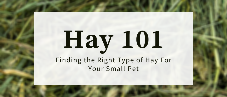 Hay 101
