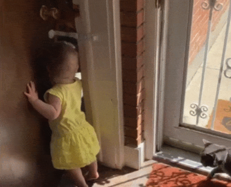 Toddler Baby Proofing - Gif