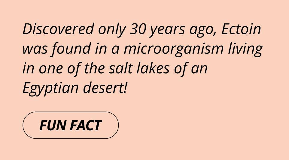 fun fact