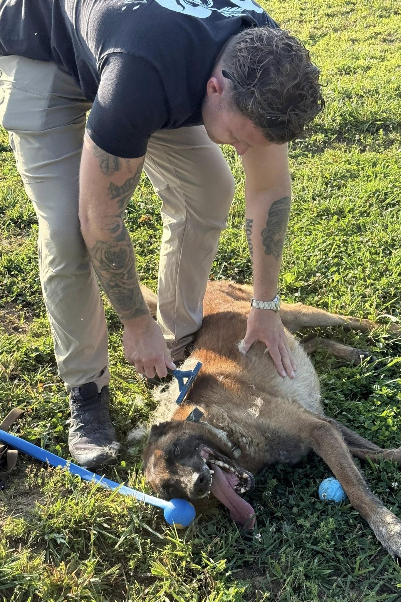 bond and his new adopter