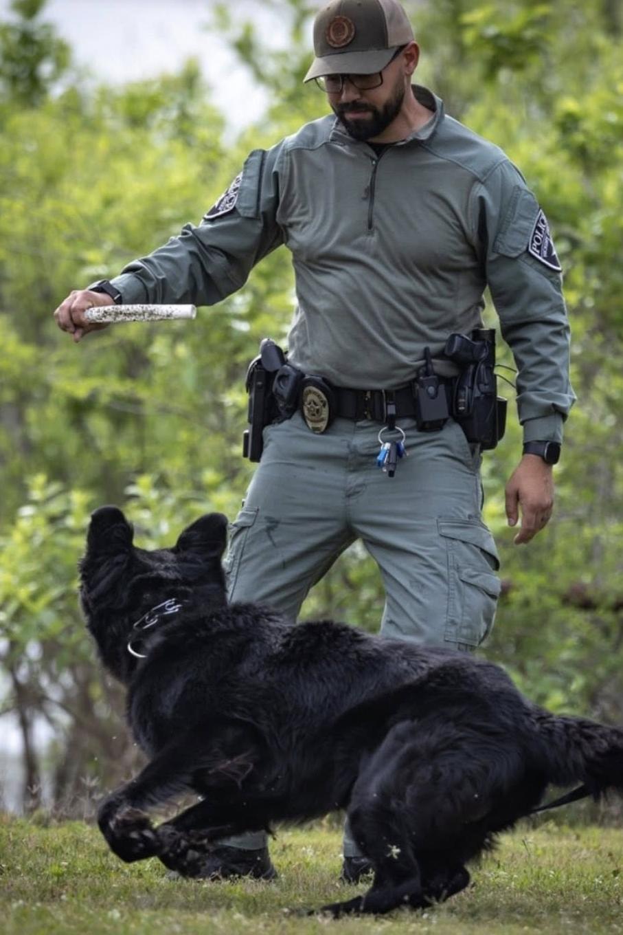 bear and his handler playing
