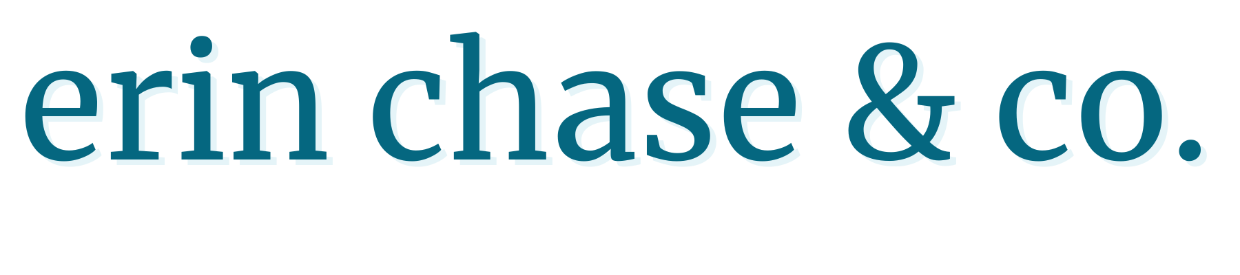 Erin Chase & Co. Store