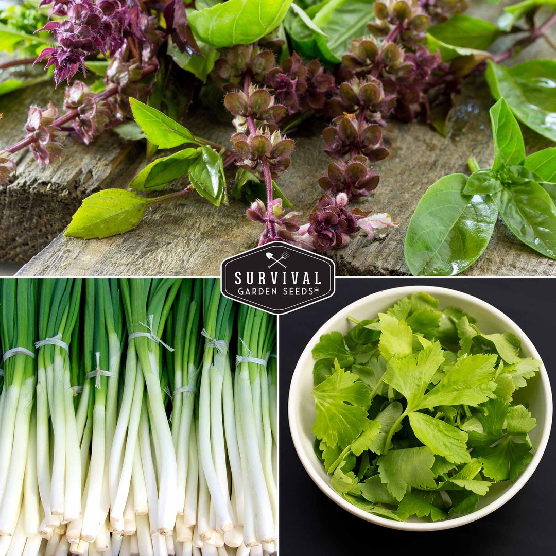 Asian vegetables - thai basil, chinese celery, white onions