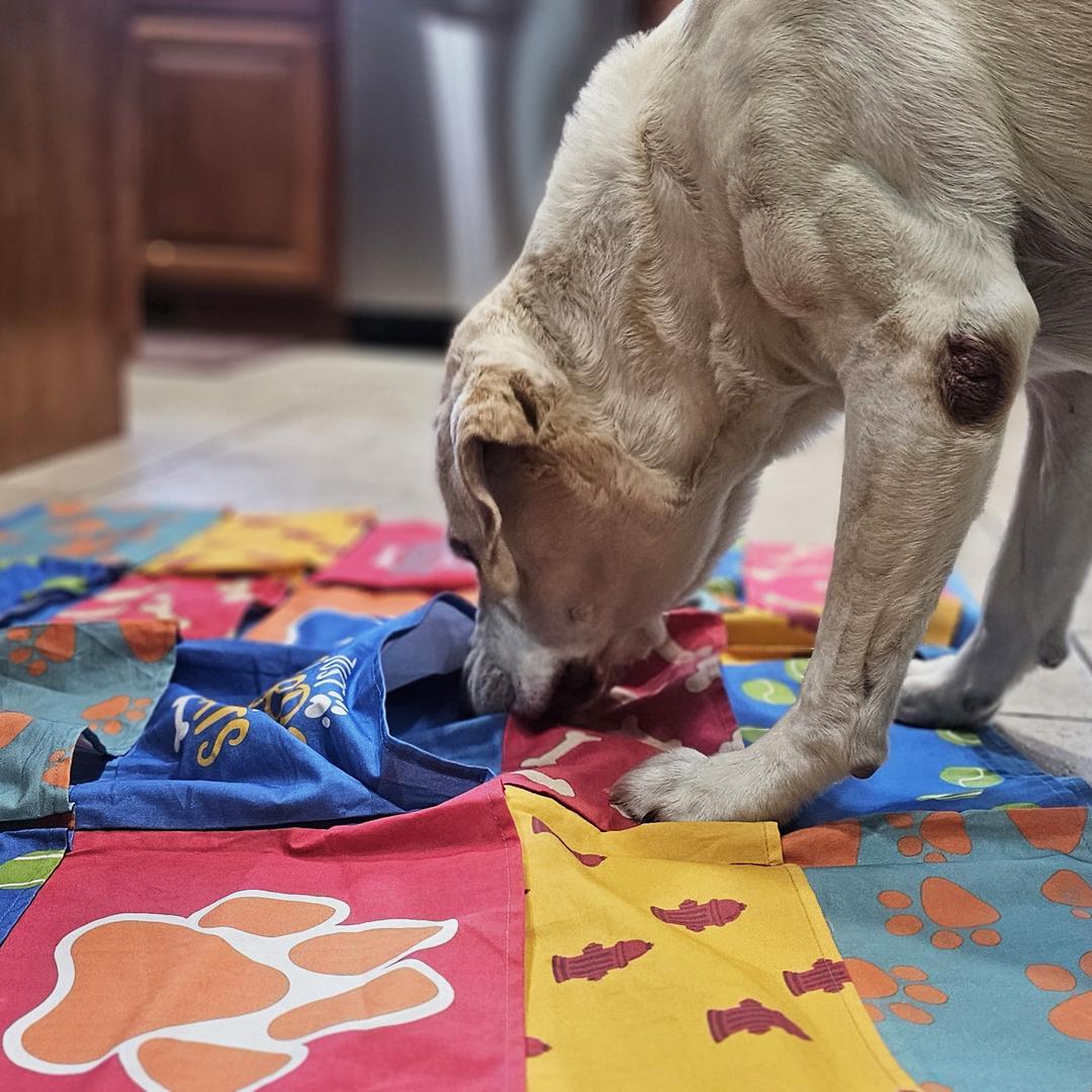 The Busy Blanket Dog Snuffle Mat for Dogs