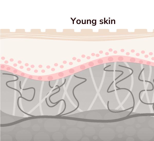 The image shows an arrangement of various natural ingredients around the blavana cleanser. The bottle is surrounded by various natural elements, including: A pink lotus flower Sliced lemons Cucumber slices Black gram Cinnamon sticks