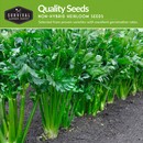 quality non-hybrid heirloom vegetable garden seeds