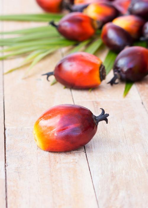 Fruit from a palm tree strewn about a wooden table.