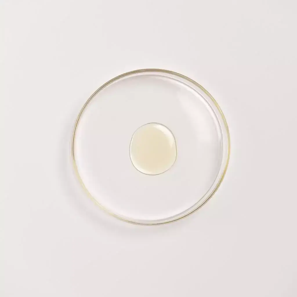 A drop of Balaayah Black Gram Body Booster - Tea Garden Blend in a petri dish