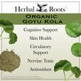 Herbal Roots Organic Gotu Kola: Cognitive Support, Skin Health, Circulatory Support, Nervine Tonic, Antioxidant
