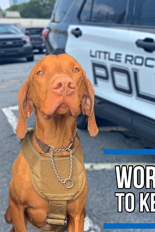 k9 flum working hard to keep you safe in little rock arkansas