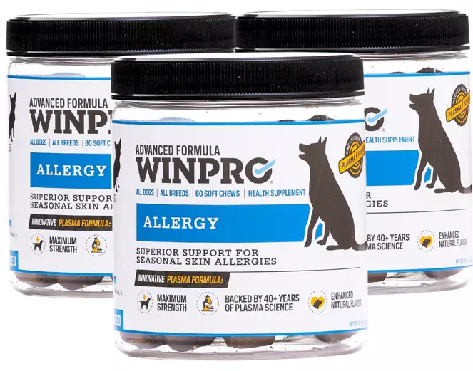 Allergy