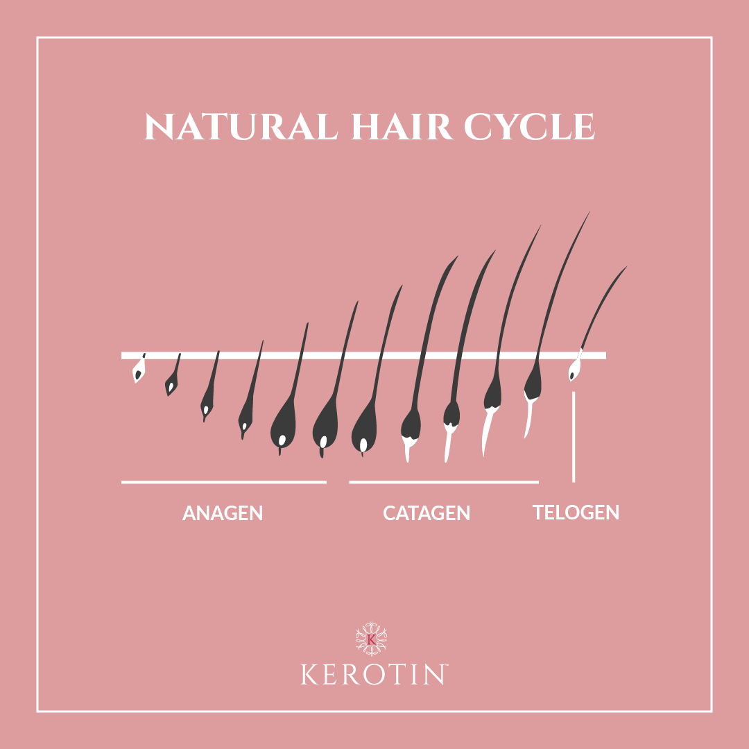 Understanding Hair Growth Cycles & Their Effects