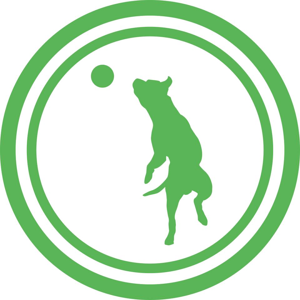 Repetitive Stress from Athletic Activities