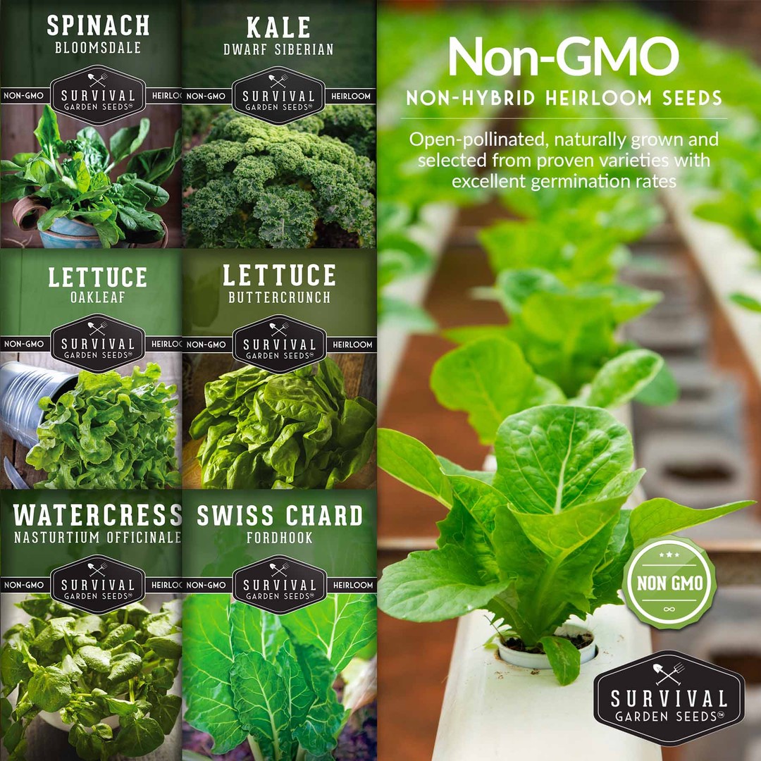 Non-GMO, non-hybrid heirloom seeds for hydroponic systems