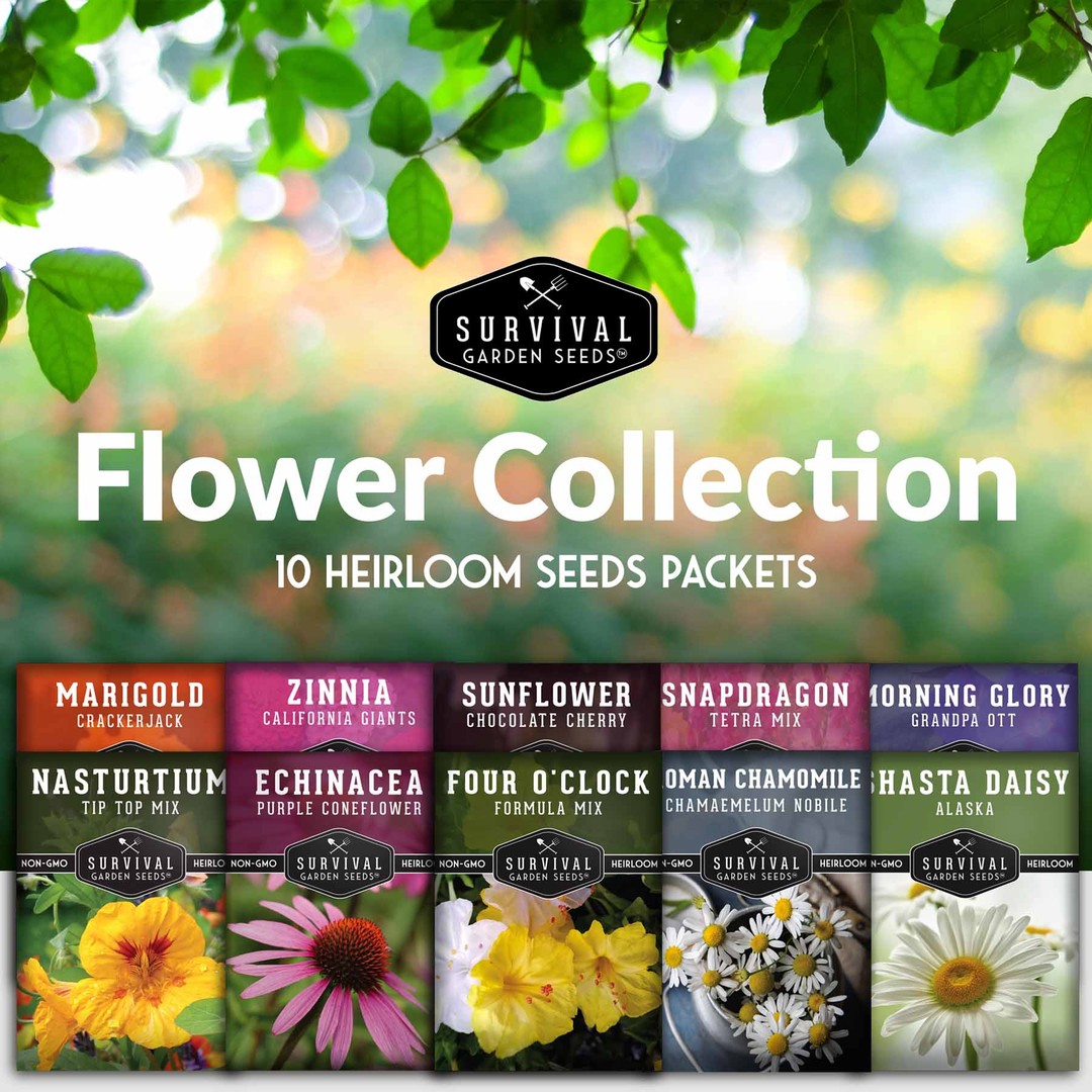 10 Flowers Seed Collection - 10 heirloom seed packets