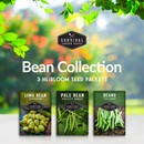 Bean collection - 3 heirloom seed packets