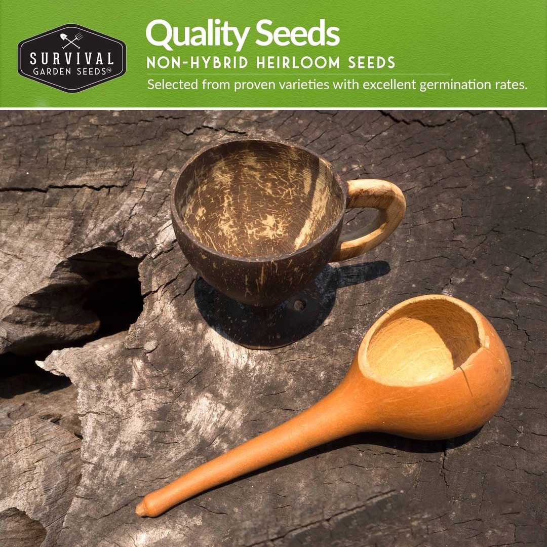 Quality non-hybrid heirloom gourd seeds