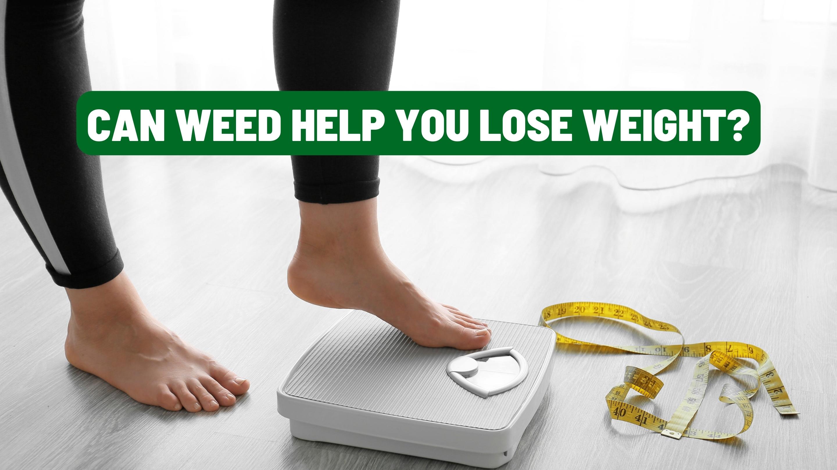 Can Weed Help You Lose Weight?