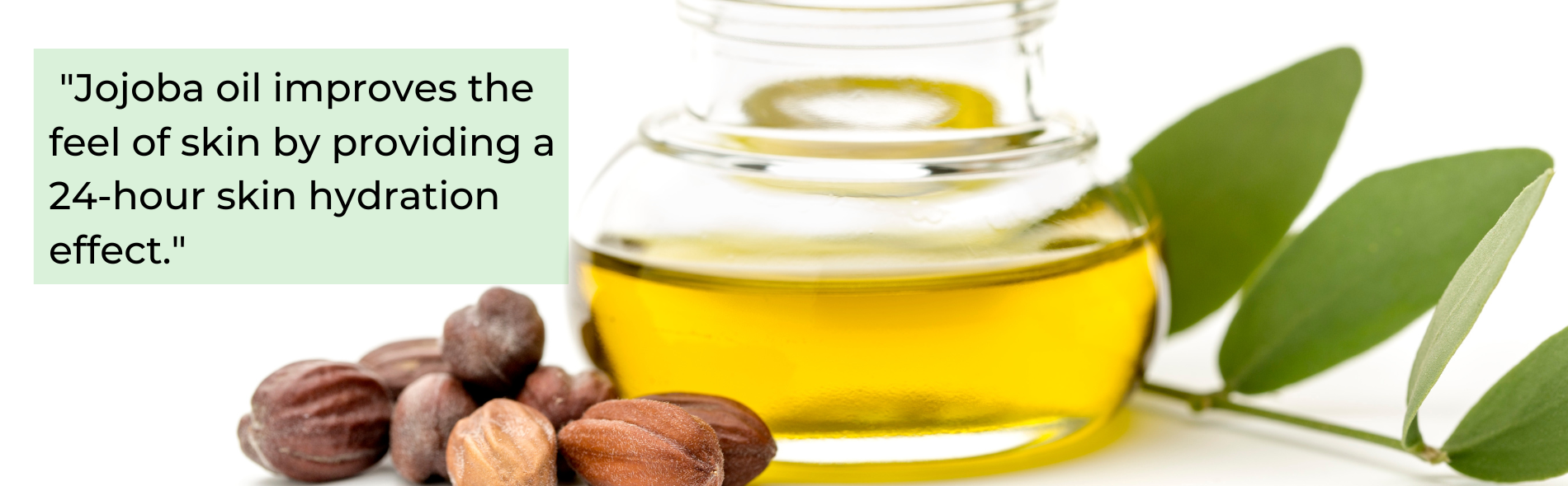 The Wonders of Jojoba Oil