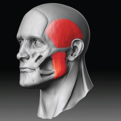 Highline Jaw Exerciseur de mâchoire à mâcher pour tonifier le visage (Bleu  de jais)