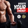 Muscle Velocity - Boost Your Energy