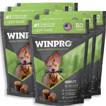 WINPRO MOBILITY POUCHES