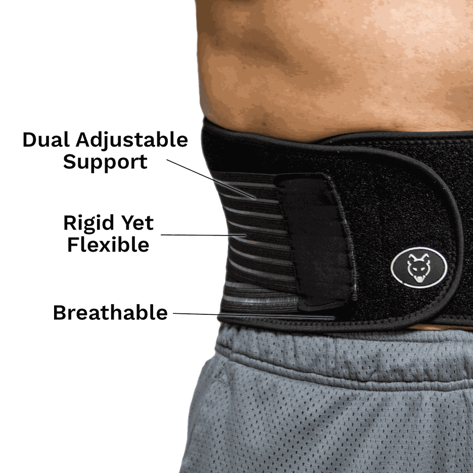 Dr. Dean Wolf Lumbar Support Belt DrDeanWolf