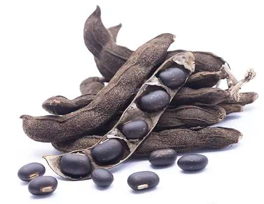 Velvet Bean