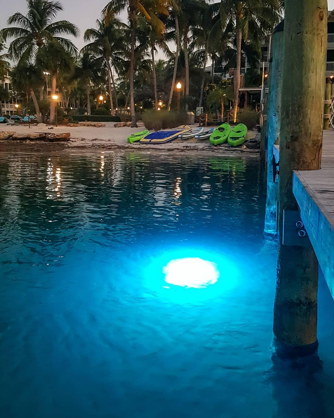 Underwater White LED Fishing Light for Docks. 16000 Lumens, 120