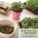 Grow your own microgreens
