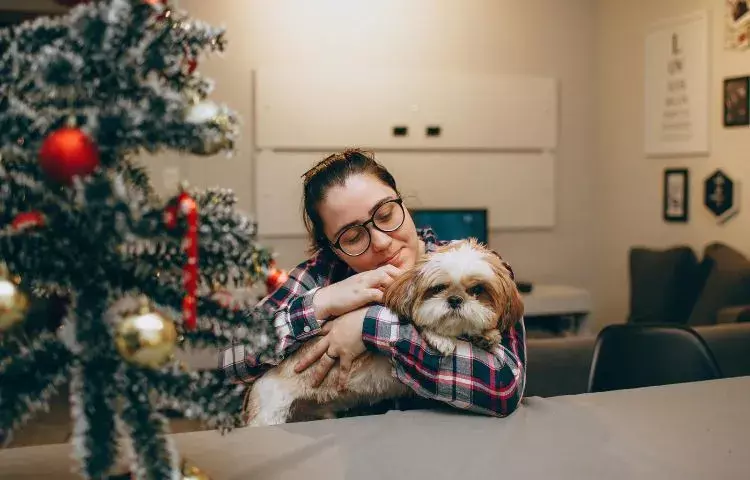 christmas dog anxiety