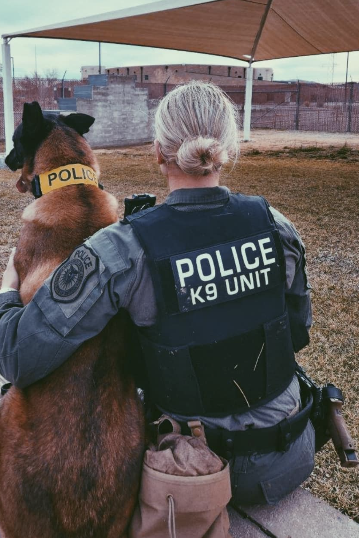 mwd cash