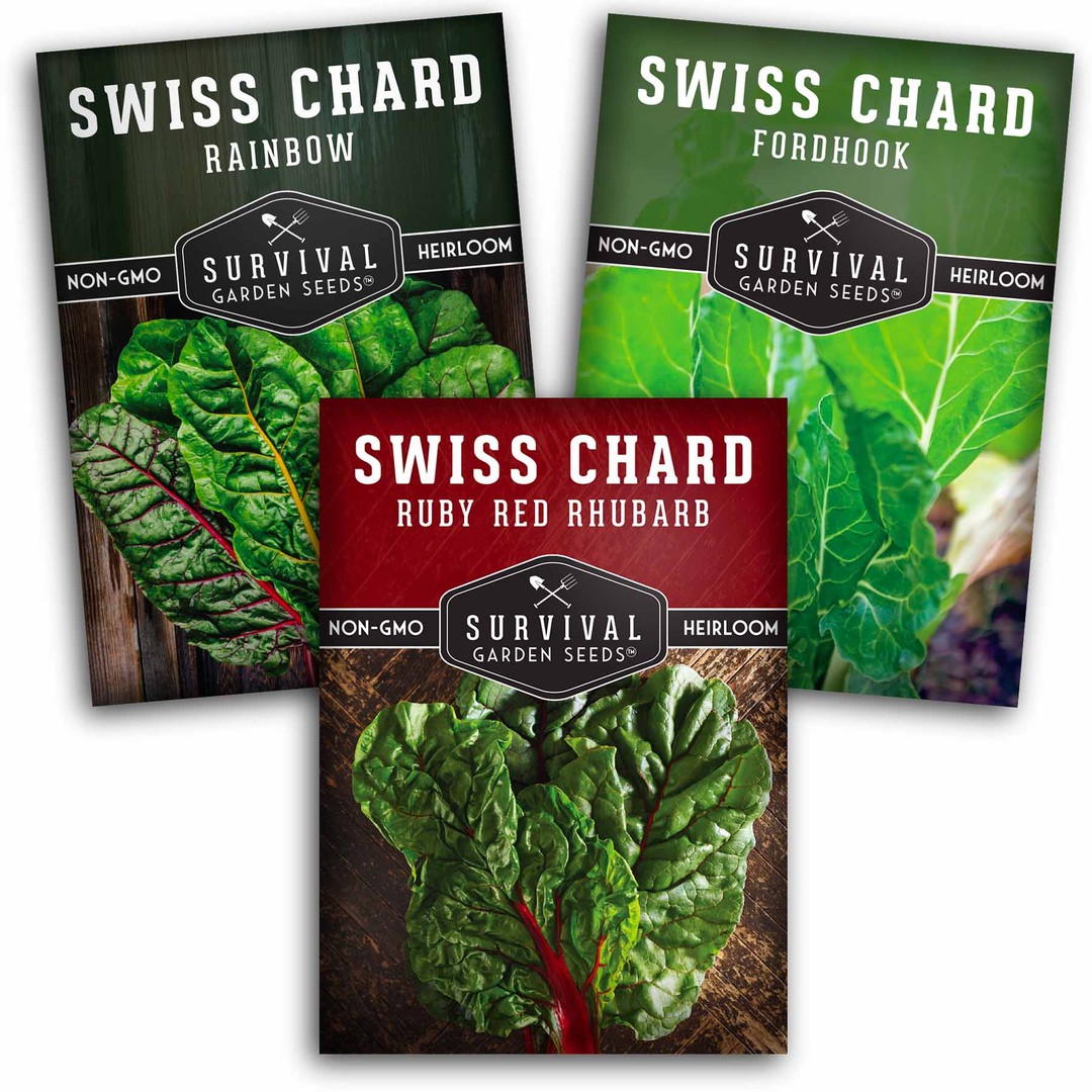 3 packets of swiss chard seeds