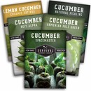 5 Packets of heirloom cucumber seeds