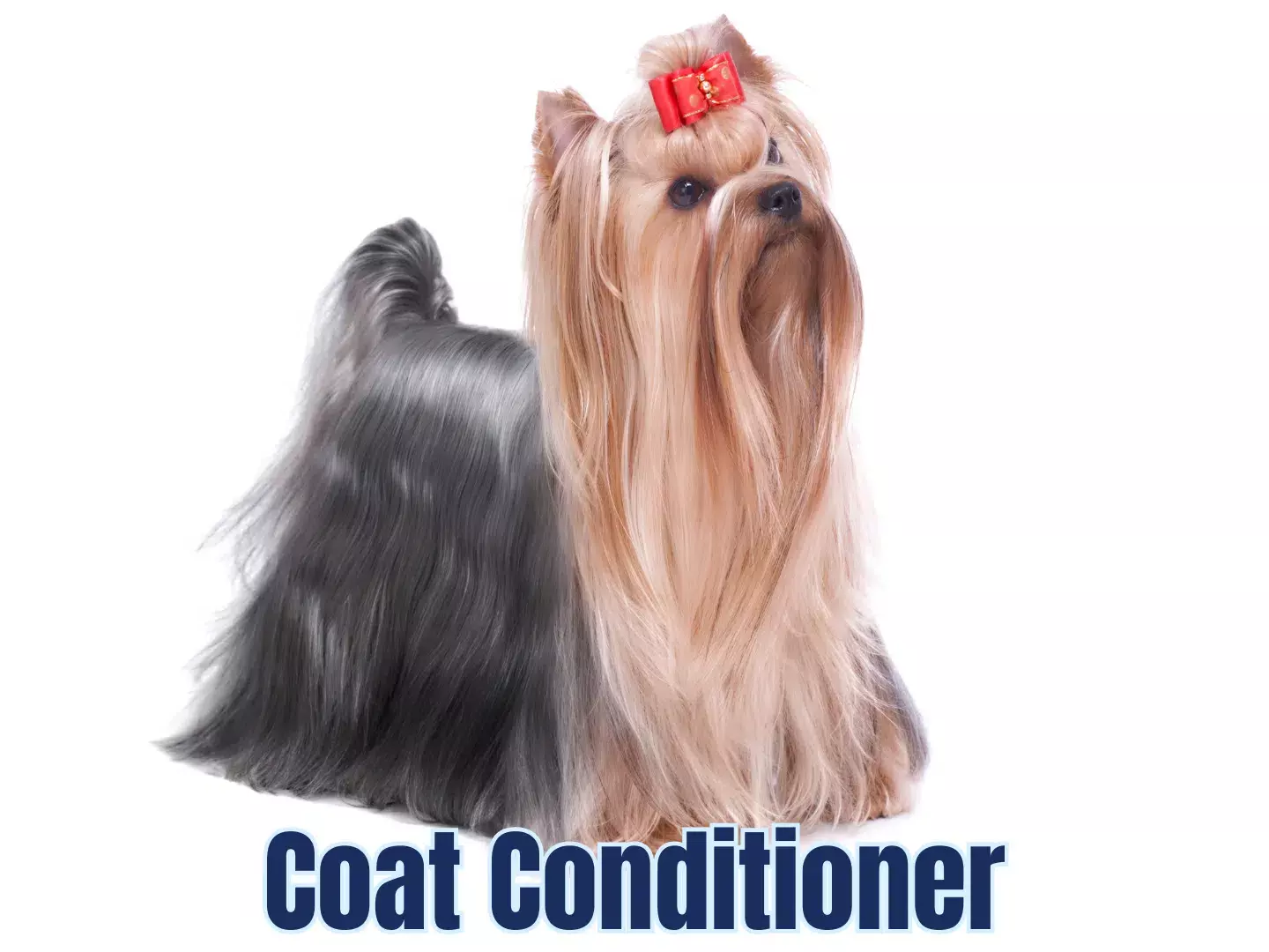 Selvita Canine Coat Conditioner