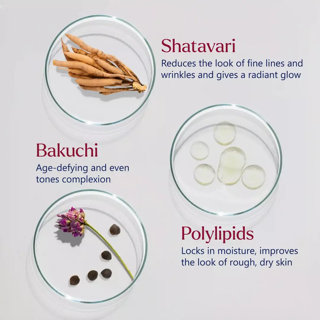 Firm Focus Face Mask ingredients