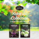 kohlrabi seed collection - 2 heirloom seed packets
