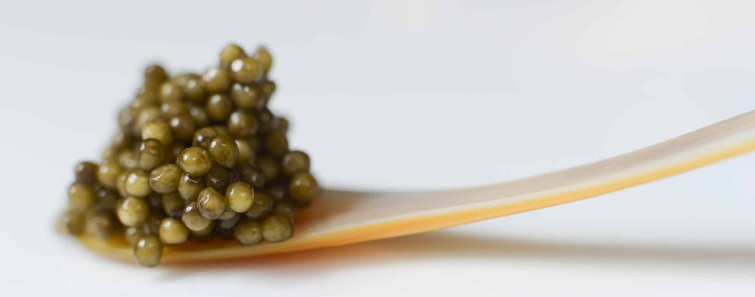 Imperial Caviar in a mother of pearl spoon