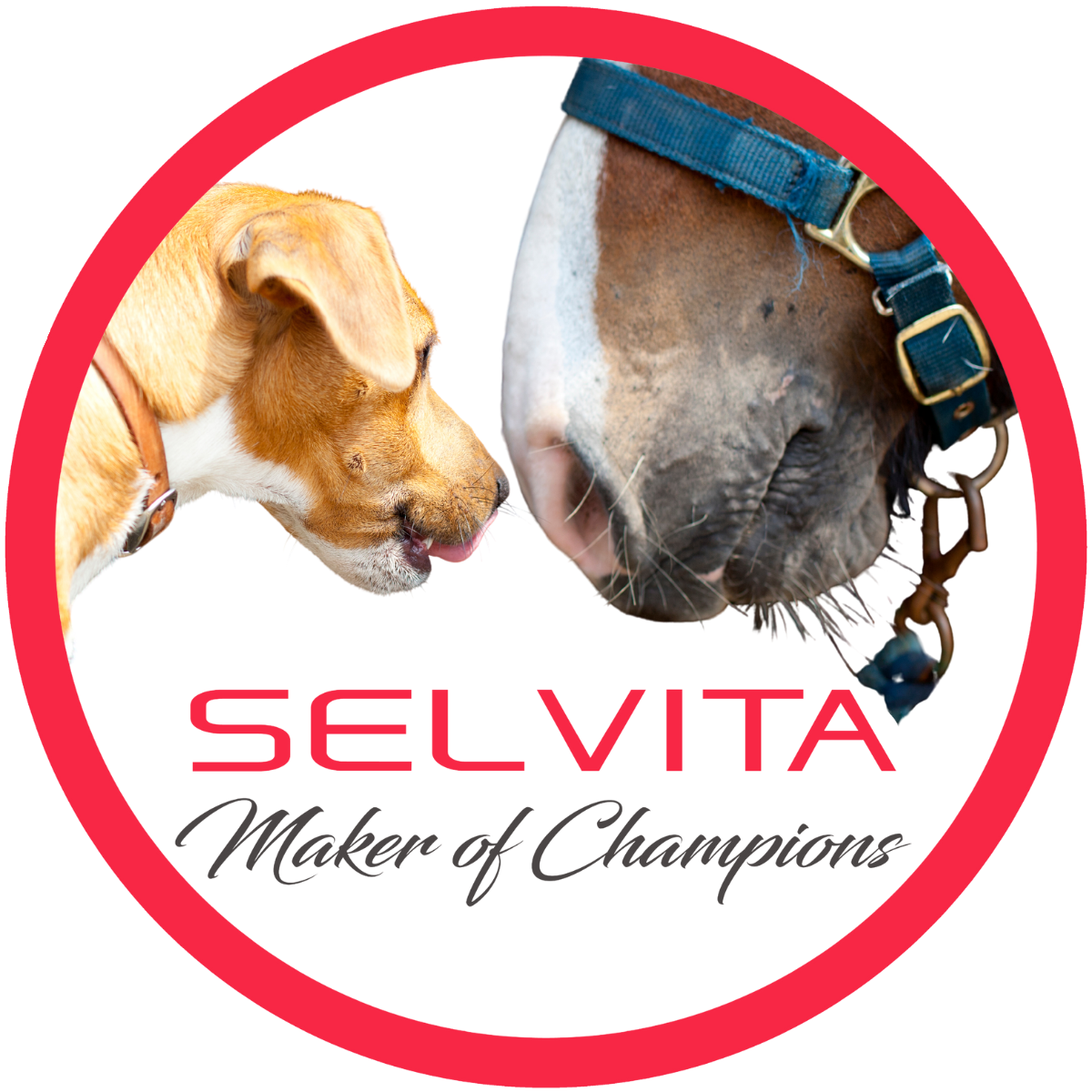 Selvita Animal Supplements Logo Maker of Champions (Equine & Canine)