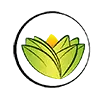 Logo The Ayurveda Experience