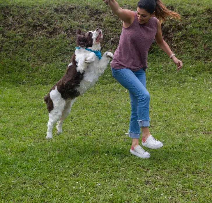 Woman in casual attire playing with a joyful dog on green grass. The dog jumps excitedly, wearing a blue bandana, while the woman raises her arm.