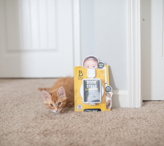 Door Buddy Door Latch - Blog Image