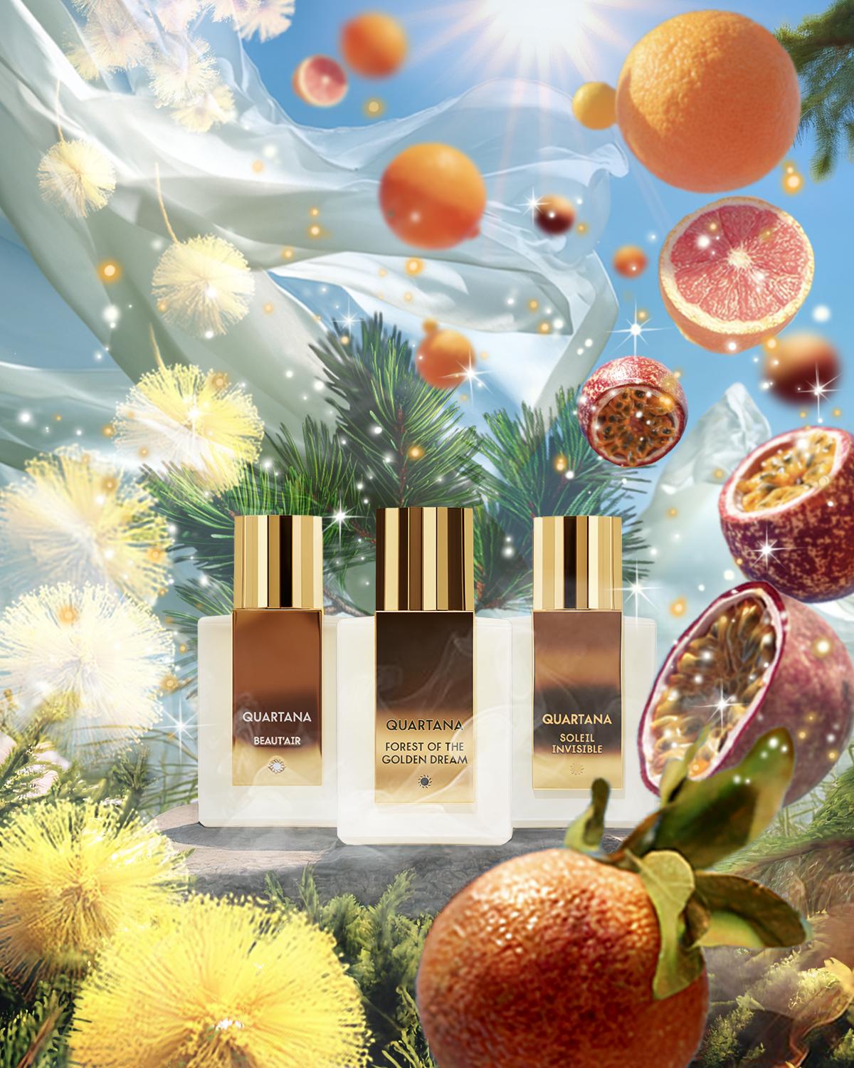 Les Potions D'Entéléchie by QUARTANA