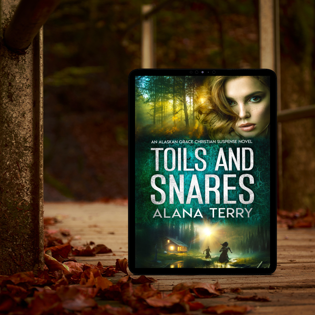 Toils and Snares Christian thriller book cover on dark fall background