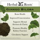 Gingko biloba leaves and a pile of powder with text that says Ginkgo Biloba- Brain Health, Improved Concentration, Support Mental Alertness and Clarity, Promotes Healthy Kidney Function and Circulatory Support."