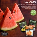 Non-GMO non-hybrid heirloom seeds for your survival garden